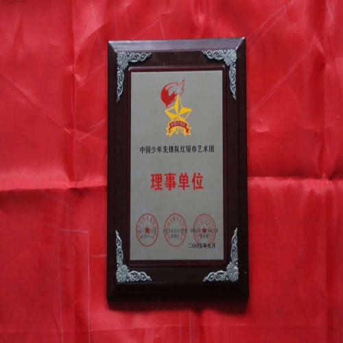 中國(guó)少年先鋒隊(duì)紅領(lǐng)巾藝術(shù)團(tuán)理事單位