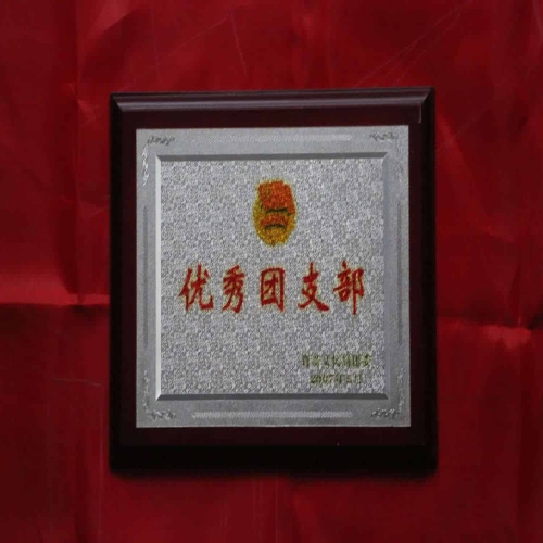 優秀團支部